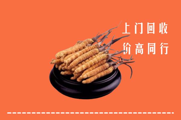 高价求购：宜昌市枝江市回收散虫草