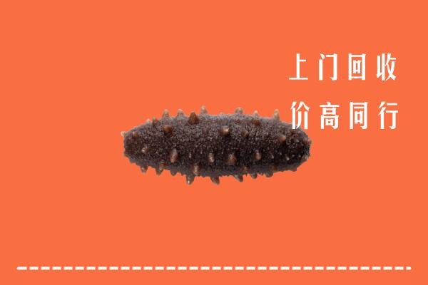 高价求购：宜昌市枝江市回收海参