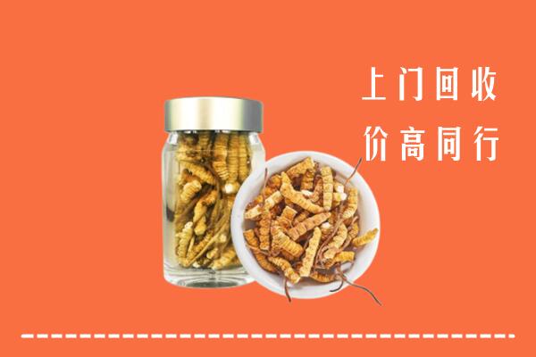 宜昌市枝江市回收冬虫夏草