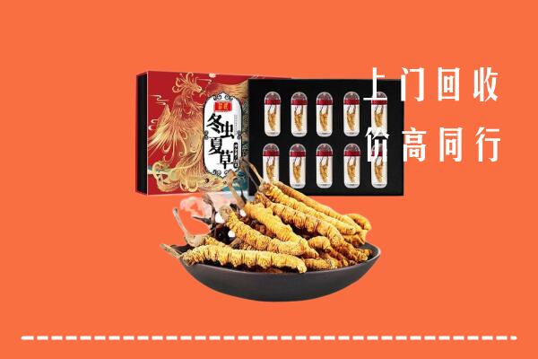 宜昌市枝江市回收虫草